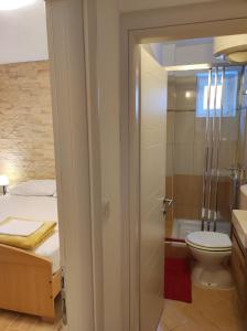 a bathroom with a shower and a toilet and a sink at Apartments Katica in Metajna