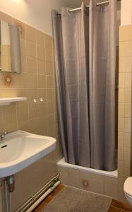La salle de bains est pourvue d'un rideau de douche et d'un lavabo. dans l'établissement Lavand'in Durbuy, à Durbuy