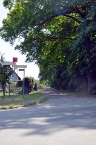 an empty road with a stop sign and trees at Ferienwohnung zum Bären 