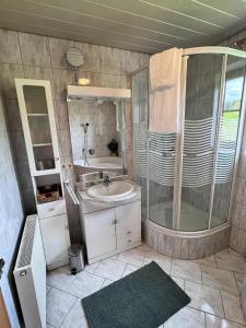 W łazience znajduje się prysznic i umywalka. w obiekcie Ferienhaus Praschberg w mieście Niederndorferberg