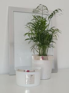 Fotografie z fotogalerie ubytování Apartman Punta Radman v destinaci Petrcane