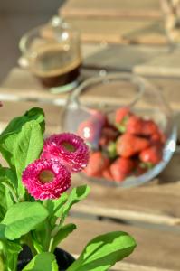 a vase with a flower next to a bowl of strawberries at Apartmani Perić 1 Meka Draga in Obrovac