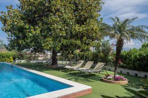 una piscina con sedie a sdraio e un albero di Villa Aurora a Vico Equense