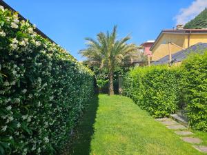 a hedge alley with a palm tree and a house at La Rocca Maison de Charme in Moneglia