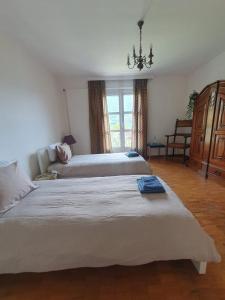 1 dormitorio con 2 camas y ventana en Golden Hill, en Collina d'Oro