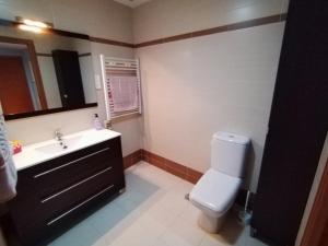 ein Badezimmer mit einem weißen WC und einem Waschbecken in der Unterkunft Apartamento El Alfar in Talavera de la Reina