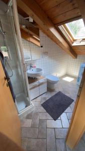 a bathroom with a shower and a sink and a toilet at BORGO CONTOVELLO in Trieste