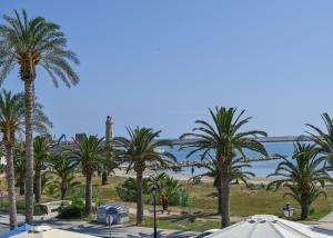 a group of palm trees and a body of water at Sunny Palm Room Crete in Rethymno