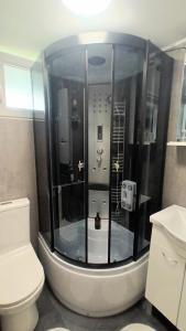 a bathroom with a toilet and a glass wall at In the Green in Lopatinec +41 photos