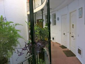 een ingang naar een huis met een smeedijzeren poort bij Oasis junto al mar in Torre del Mar