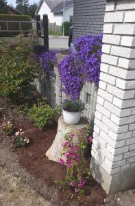 un giardino con fiori viola e una recinzione di HvideHus Aunslev a Nyborg