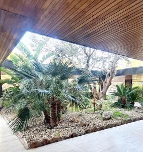 una palmera en un jardín bajo un edificio en SUPERBE STUDIO VUE MER - Plage, Piscine ET Tennis Prive, en Bandol
