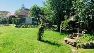 a grassy yard with a ivy pole in the grass at La petite maison de Paule in Amilly