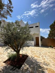 un árbol frente a un edificio blanco en AT Espalmador Formentera rustick, en Es Pujols