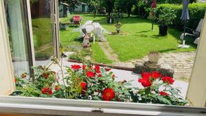 - une fenêtre donnant sur un jardin avec des fleurs rouges dans l'établissement La petite maison de Paule, à Amilly