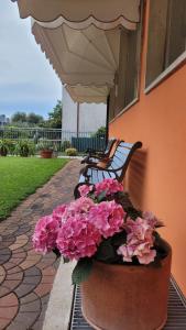 two benches sitting next to a building with pink flowers at Albergo Villa Mimosa in Nago-Torbole