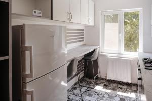 a white kitchen with a refrigerator and a window at Alexander in Roman