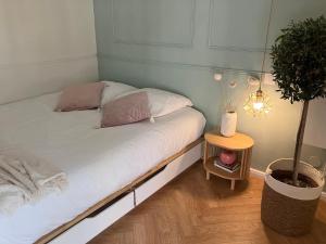 Cama en habitación con planta y lámpara en Appartement Chèvremont Metz, en Metz