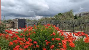 Κήπος έξω από το Casa Indipendente Roma MiTuCasa