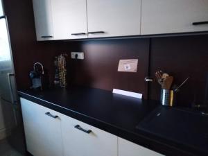 Kuchyň nebo kuchyňský kout v ubytování Academic Apartment Brno (AAB) 2+1 (62 m²)