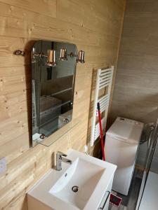 uma casa de banho com um lavatório, um espelho e um WC. em Le Laponya - Chalet climatisé avec SPA & Borne de recharge em Bressols