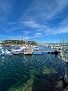 a group of boats docked at a dock in the water at Hostal Casa Isabel in Portonovo