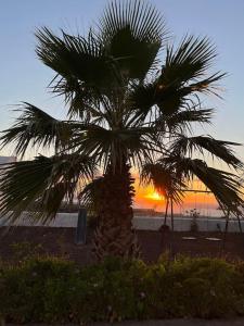 a palm tree on the beach with the sunset in the background at Finca la Pampa in Arafo