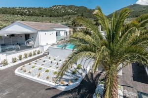 an aerial view of a house with a palm tree at Pachis Escape Suites in Pachis