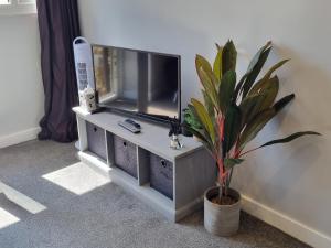 a living room with a tv and a potted plant at The Old Workshop Oxford Countryside Apartment - Wifi - Free Parking in Oxford