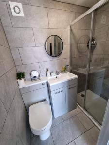 a bathroom with a toilet and a sink and a shower at The Old Workshop Oxford Countryside Apartment - Wifi - Free Parking in Oxford +24 photos