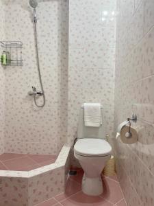 a bathroom with a toilet and a bath tub at Гостевой Дом Феникс in Sukhum