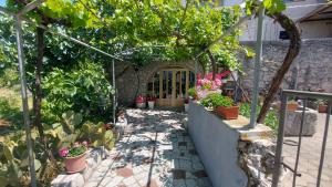 Zahrada ubytování Guest house Tom