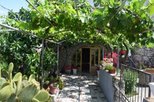 Zahrada ubytování Guest house Tom
