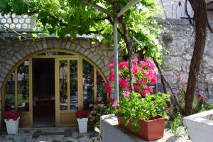 Zahrada ubytování Guest house Tom