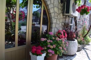 Zahrada ubytování Guest house Tom