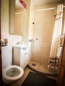 uma casa de banho com um WC, um lavatório e um chuveiro em Home Eden Dobrenica em Bihać