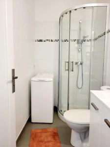 戛纳Cosy Studio à Cannes 8 min de la Croisette的带淋浴、马桶和水槽的浴室 更多11张照片