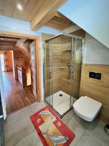 ein Bad mit einer Glasdusche und einem WC in der Unterkunft Bartusiowa Osada in Zakopane