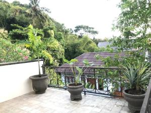 a balcony with three potted plants and a gazebo at Bale Pari in Mataram