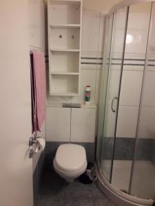 a small bathroom with a toilet and a shower at Nicosia City Centre Apartment in Nicosia