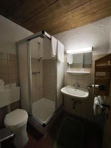 łazienka z prysznicem, toaletą i umywalką w obiekcie Ferienwohnung Zita Weber w Neustift im Stubaital