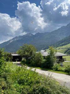 Ein Vogel fliegt über ein Gebäude mit Bergen im Hintergrund in der Unterkunft Ferienwohnung Zita Weber in Neustift im Stubaital