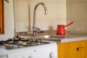 a red cup sitting on a kitchen counter next to a sink at Betlehem & Nazaret cottage on Krk island in Krk +60 photos