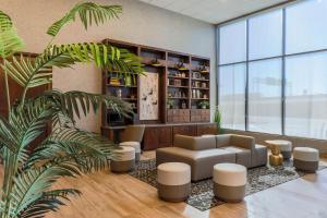 a living room with a couch and a plant at Four Points by Sheraton Amarillo Central in Amarillo