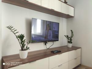 Televízia a/alebo spoločenská miestnosť v ubytovaní Apartament Centrum Kościuszko