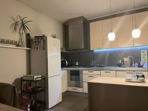 uma cozinha com um frigorífico branco e um balcão em Casa del bosque em Upesciems
