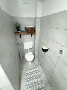 a small bathroom with a toilet and a shower at Anur Apartment in Bihać