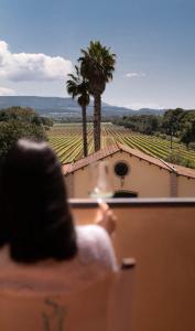 une personne qui regarde par une fenêtre un vignoble dans l'établissement Sella&Mosca Casa Villamarina, à Alghero