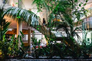 uma pessoa numa escada num edifício com plantas em Four Points by Sheraton Catania Hotel em Catânia