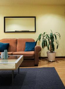 a living room with a couch and a potted plant at Goya Apartamento Centro in Madrid